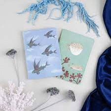 PACK 2 CUADERNOS COSIDOS BRIANDA