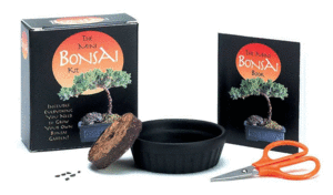 MINI BONSAI KIT