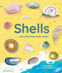 SHELLSAAND WHAT THEY HIDE INSIDE