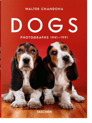 WALTER CHANDOHA. DOGS. PHOTOGRAPHS 1941�1991