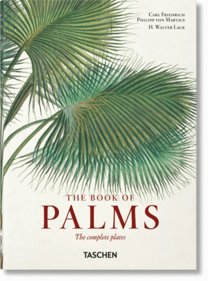 EL LIBRO DE LAS PALMERAS-THE BOOK OF PALMS-40 ANIV