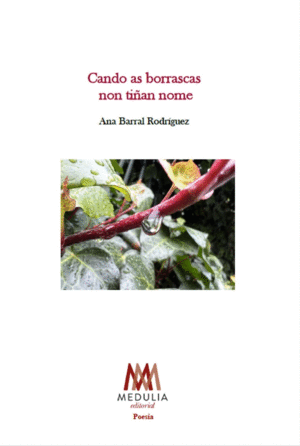 CANDO AS BORRASCAS NON TI�AN NOME