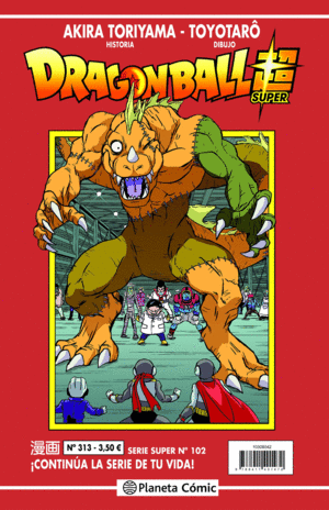 DRAGON BALL SERIE ROJA N 313