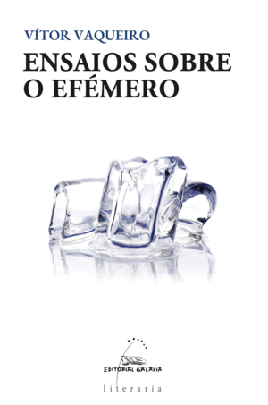 (G).ENSAIOS SOBRE O EFEMERO.(LITERARIA)