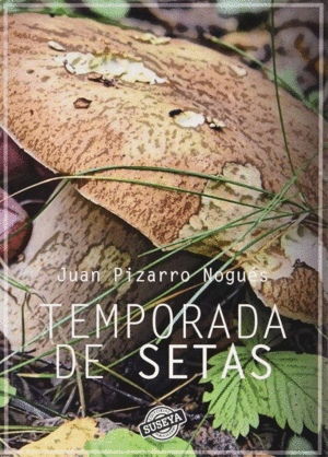 TEMPORADA DE SETAS