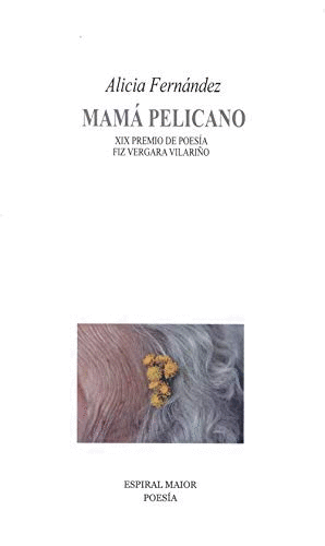 MAM PELICANO. XIX PREMIO POESA FIZ VERGARA VILARIO