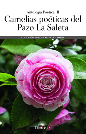 CAMELIAS POETICAS DEL PAZO LA SALETA