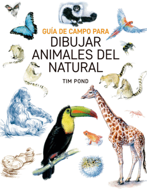 GUIA DE CAMPO PARA DIBUJAR ANIMALES DEL NATURAL