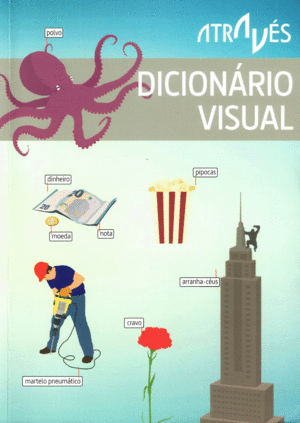 DICIONARIO VISUAL (2ED)