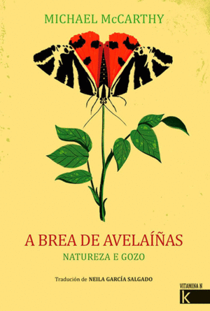 A BREA DE AVELAIAS