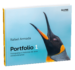 PORTFOLIO 1