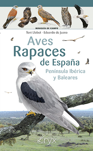 AVES RAPACES DE ESPA�A, PENINSULA IBERICA Y BALEARES