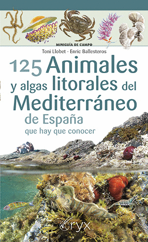 125 ANIMALES Y ALGAS LITORALES DEL MEDITERRANEO DE ESPAA QUE HAY QUE CONOCER