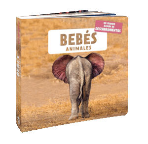 BEBS ANIMALES