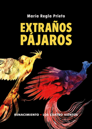 EXTRAOS PAJAROS