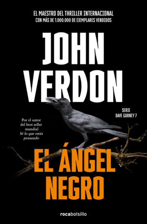 EL ANGEL NEGRO (SERIE DAVID GURNEY 7)