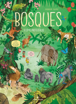 BOSQUES... Y COMO PROTEGERLOS