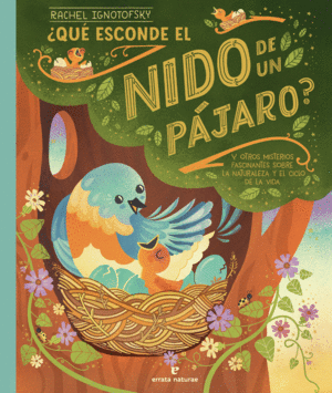 QUE ESCONDE EL NIDO DE UN PAJARO?
