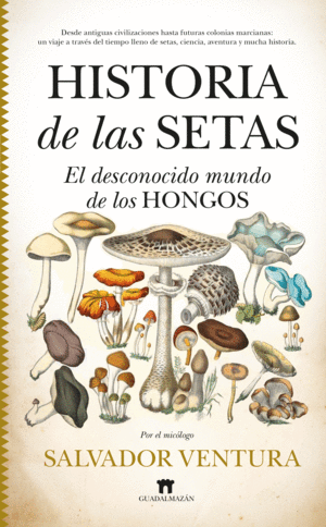HISTORIA DE LAS SETAS