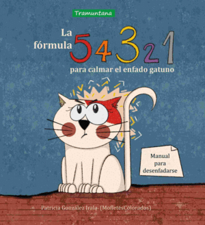 LA FORMULA 5, 4, 3, 2, 1 PARA CALMAR EL ENFADO GATUNO