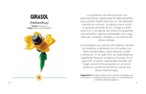 FLORES SILVESTRES