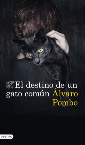 EL DESTINO DE UN GATO COMUN