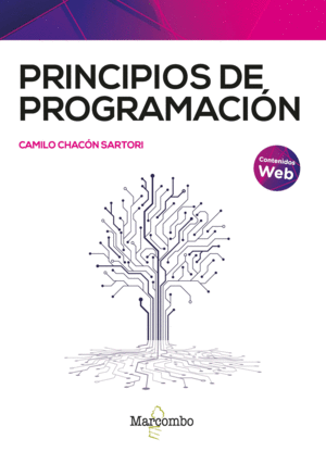 PRINCIPIOS DE PROGRAMACION