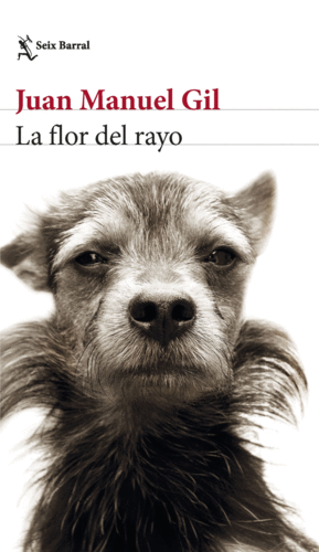 LA FLOR DEL RAYO