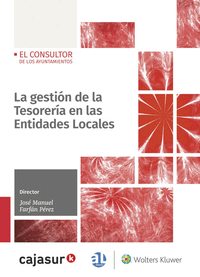 LA GESTION DE LA TESORERIA EN LAS ENTIDADES LOCALES