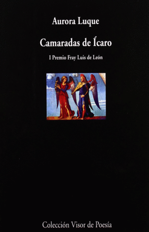 CAMARADAS DE ICARO