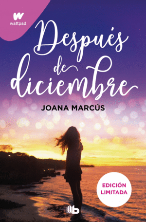 DESPUES DE DICIEMBRE (EDICION REVISADA POR LA AUTORA) (EDICION LIMITADA) (MESES