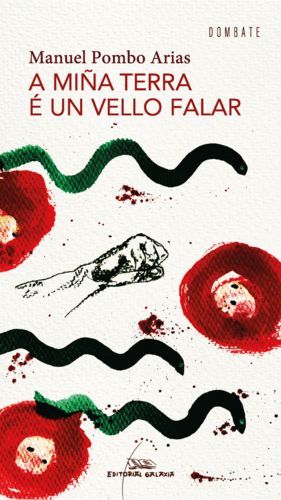 MI�A TERRA E UN VELLO FALAR, A