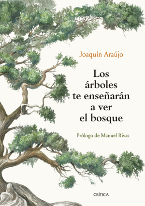 LOS ARBOLES TE ENSEARAN A VER EL BOSQUE