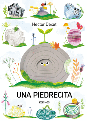 UNA PIEDRECITA