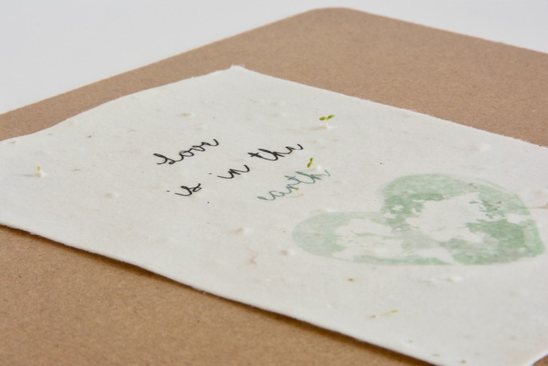 TARJETA PLANTABLE LOVE SHEEDO - LA NUEVA BIBLOS, S.L.